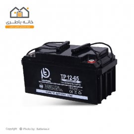 باتری 12 ولت سیلد لید اسید 65 آمپر تلکو پاور Telco Power